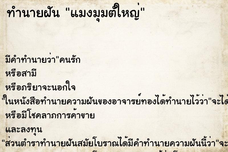 ทำนายฝันแมงมุมตัใหญ่ ทำนายฝันทำนายฝันแมงมุมตัใหญ่