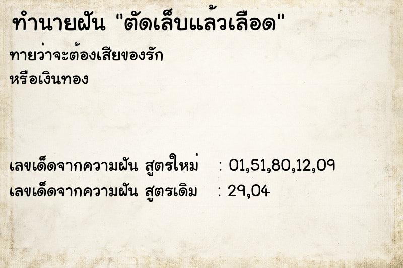 ทำนายฝันตัดเล็บแล้วเลือด ทำนายฝันทำนายฝันตัดเล็บแล้วเลือด