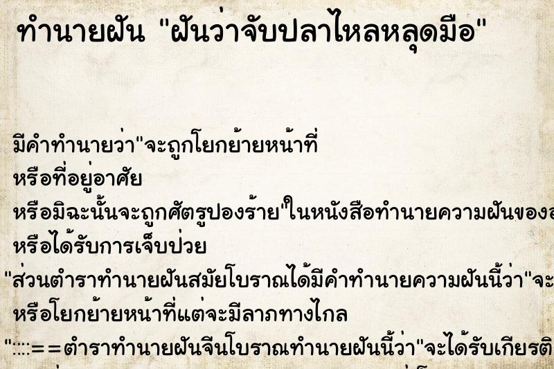 ทำนายฝันฝันว่าจับปลาไหลหลุดมือ ทำนายฝันทำนายฝันฝันว่าจับปลาไหลหลุดมือ