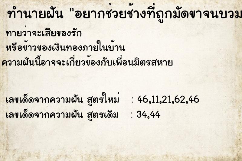 ทำนายฝันทำนายฝันอยากช่วยช้างที่ถูกมัดขาจนบวม