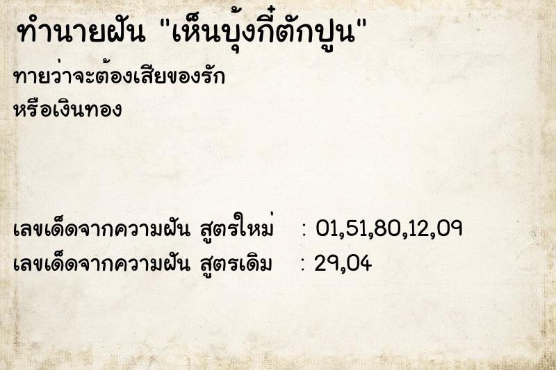 ทำนายฝัน เห็นบุ้งกี๋ตักปูน ทำนายฝัน เห็นบุ้งกี๋ตักปูน