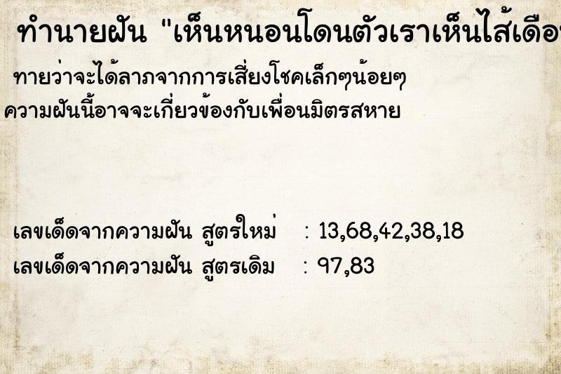 ทำนายฝันทำนายฝันเห็นหนอนโดนตัวเราเห็นไส้เดือนน่าเกลียด