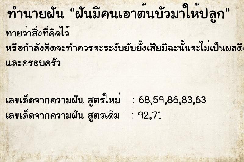 ทำนายฝันฝันมีคนเอาต้นบัวมาให้ปลูก ทำนายฝันทำนายฝันฝันมีคนเอาต้นบัวมาให้ปลูก