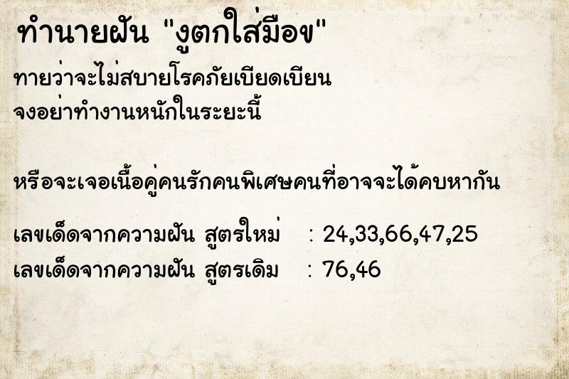 ทำนายฝัน งูตกใส่มือข ทำนายฝัน งูตกใส่มือข