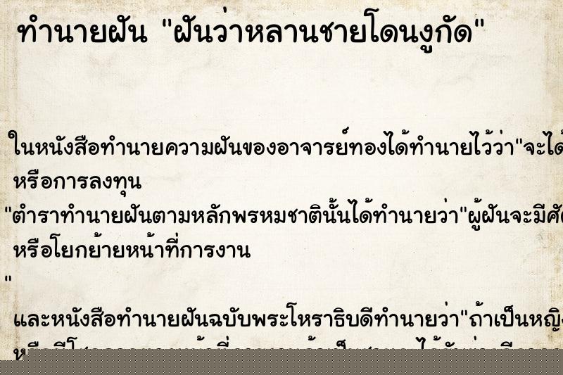 ทำนายฝันฝันว่าหลานชายโดนงูกัด ทำนายฝันทำนายฝันฝันว่าหลานชายโดนงูกัด