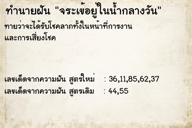 ทำนายฝันจระเข้อยู่ในน้ำกลางวัน ทำนายฝันทำนายฝันจระเข้อยู่ในน้ำกลางวัน