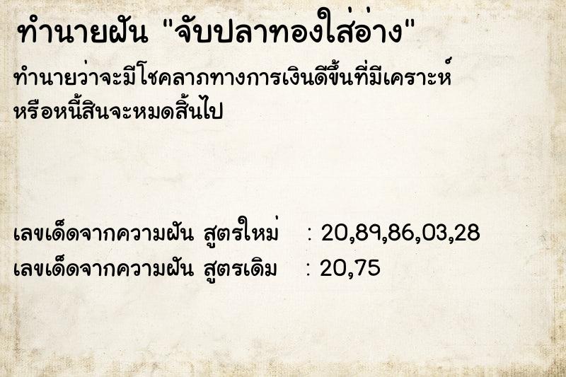 ทำนายฝัน จับปลาทองใส่อ่าง ทำนายฝัน จับปลาทองใส่อ่าง
