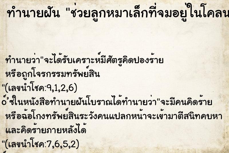 ทำนายฝันช่วยลูกหมาเล็กที่จมอยู่ในโคลน ทำนายฝันทำนายฝันช่วยลูกหมาเล็กที่จมอยู่ในโคลน