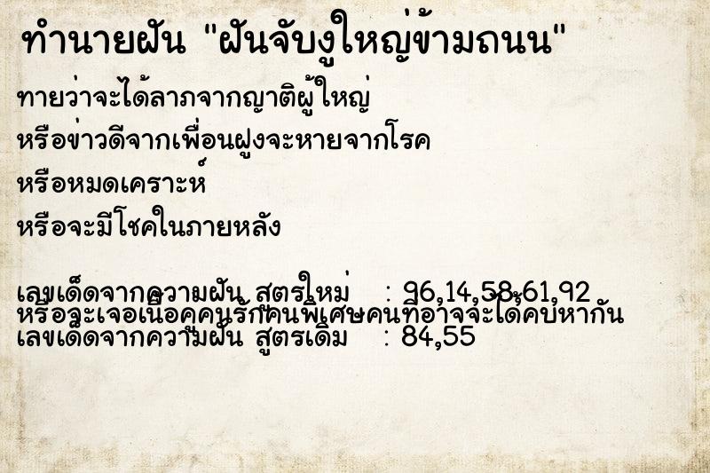ทำนายฝันฝันจับงูใหญ่ข้ามถนน ทำนายฝันทำนายฝันฝันจับงูใหญ่ข้ามถนน