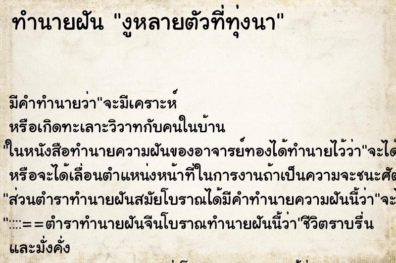 ทำนายฝันงูหลายตัวที่ทุ่งนา ทำนายฝันทำนายฝันงูหลายตัวที่ทุ่งนา