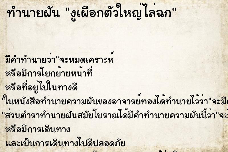 ทำนายฝัน งูเผือกตัวใหญ่ไล่ฉก ตำราโบราณ แม่นที่สุดในโลก