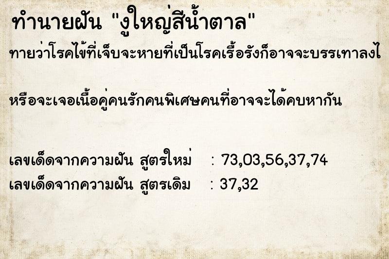 ทำนายฝันงูใหญ่สีน้ำตาล ทำนายฝันทำนายฝันงูใหญ่สีน้ำตาล