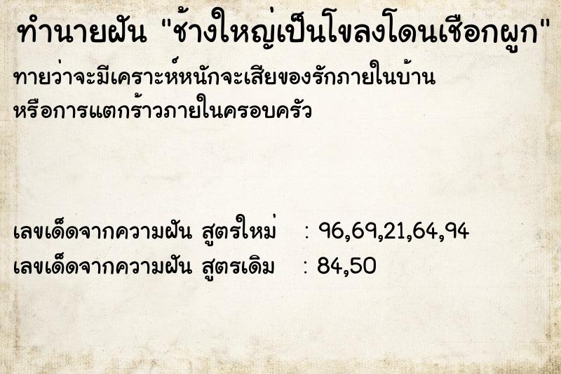 ทำนายฝันช้างใหญ่เป็นโขลงโดนเชือกผูก ทำนายฝันทำนายฝันช้างใหญ่เป็นโขลงโดนเชือกผูก