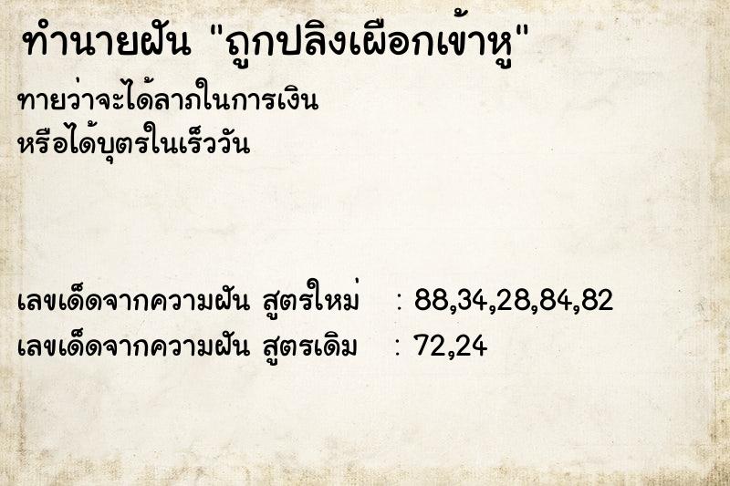 ทำนายฝัน ถูกปลิงเผือกเข้าหู