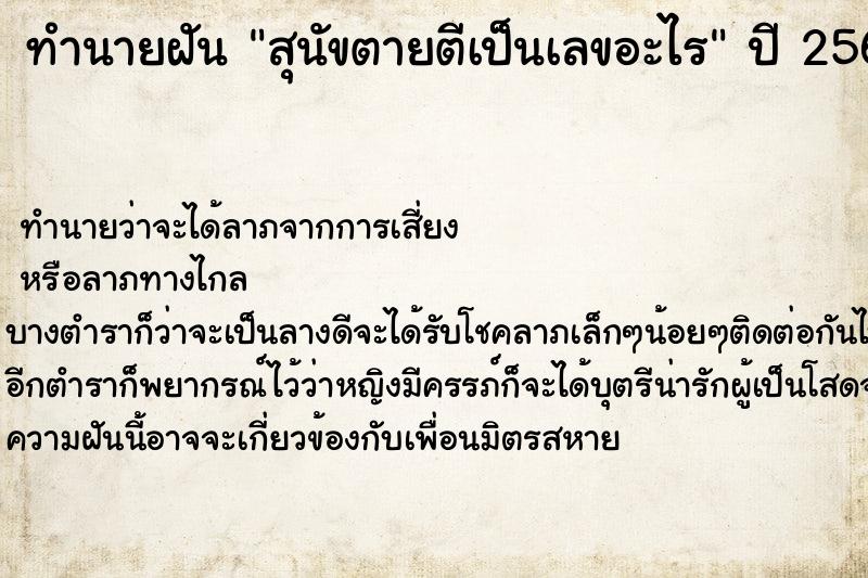 ทำนายฝัน สุนัขตายตีเป็นเลขอะไรแม่นๆ ฟรี ด้วยตำราหนังสือทำนายฝันโบราณ ทำนายฝันสุนัขตายตีเป็นเลขอะไร