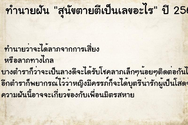 ทำนายฝัน สุนัขตายตีเป็นเลขอะไร ตำราโบราณ แม่นที่สุดในโลก