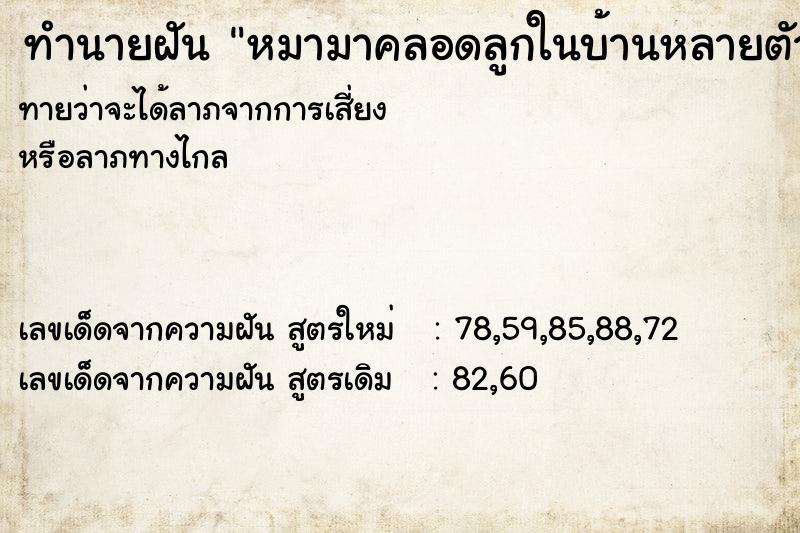 ทำนายฝันหมามาคลอดลูกในบ้านหลายตัว ทำนายฝันทำนายฝันหมามาคลอดลูกในบ้านหลายตัว