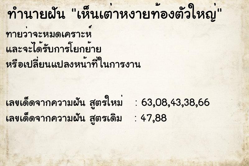 ทำนายฝันเห็นเต่าหงายท้องตัวใหญ่ ทำนายฝันทำนายฝันเห็นเต่าหงายท้องตัวใหญ่
