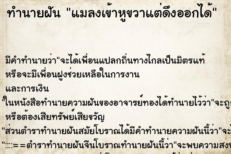 ทำนายฝัน แมลงเข้าหูขวาแต่ดึงออกได้ ทำนายฝัน แมลงเข้าหูขวาแต่ดึงออกได้