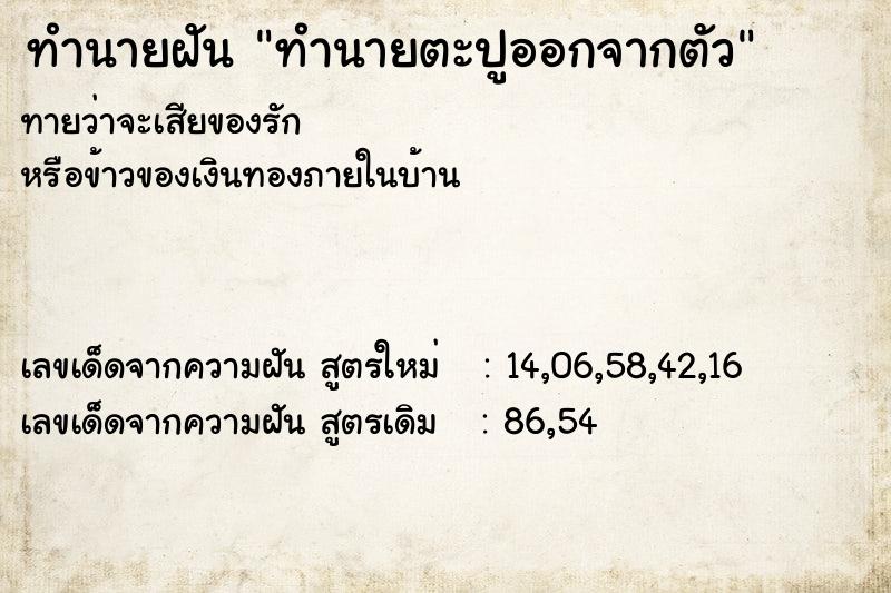 ทำนายฝันทำนายฝันทำนายตะปูออกจากตัว