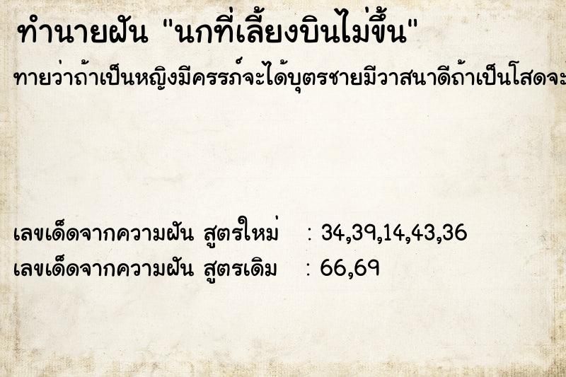 ทำนายฝันทำนายฝันนกที่เลี้ยงบินไม่ขึ้น