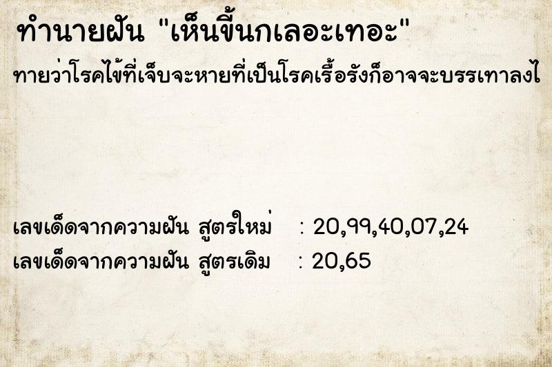 ทำนายฝันเห็นขี้นกเลอะเทอะ ทำนายฝันทำนายฝันเห็นขี้นกเลอะเทอะ