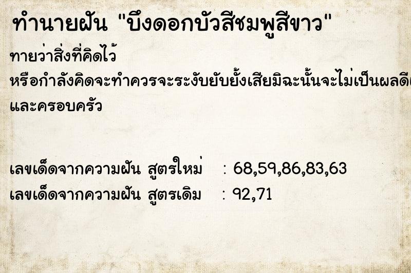 ทำนายฝันทำนายฝันบึงดอกบัวสีชมพูสีขาว