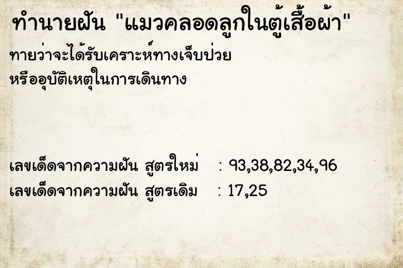 ทำนายฝันแมวคลอดลูกในตู้เสื้อผ้า ทำนายฝันทำนายฝันแมวคลอดลูกในตู้เสื้อผ้า