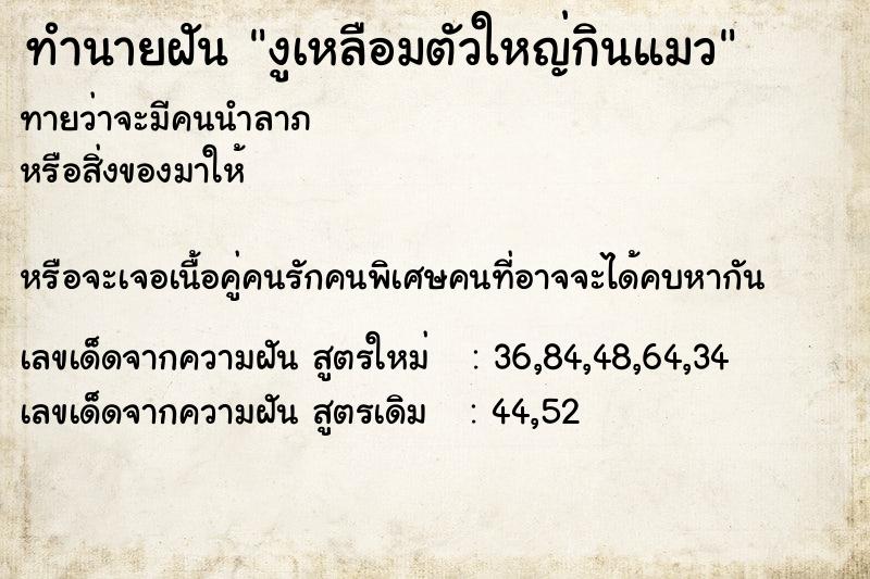 ทำนายฝันงูเหลือมตัวใหญ่กินแมว ทำนายฝันทำนายฝันงูเหลือมตัวใหญ่กินแมว