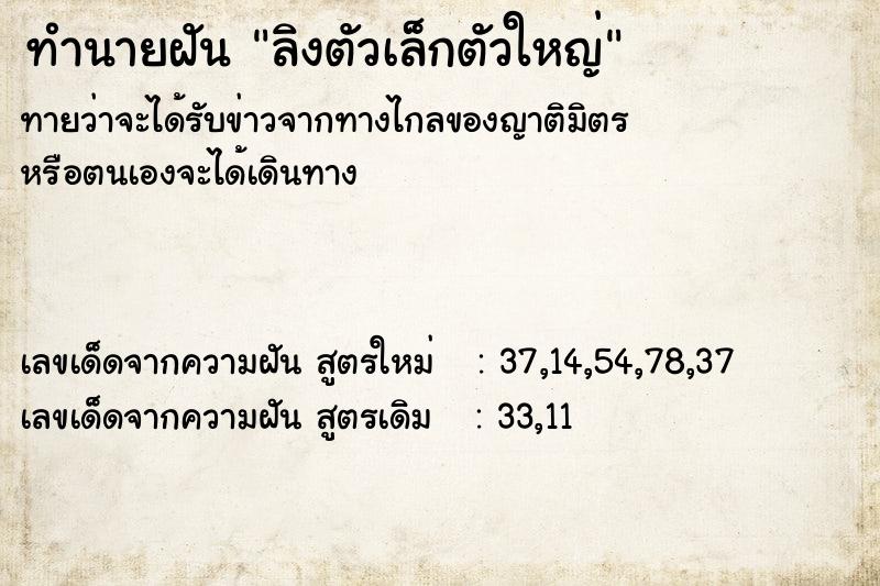 ทำนายฝันลิงตัวเล็กตัวใหญ่ ทำนายฝันทำนายฝันลิงตัวเล็กตัวใหญ่