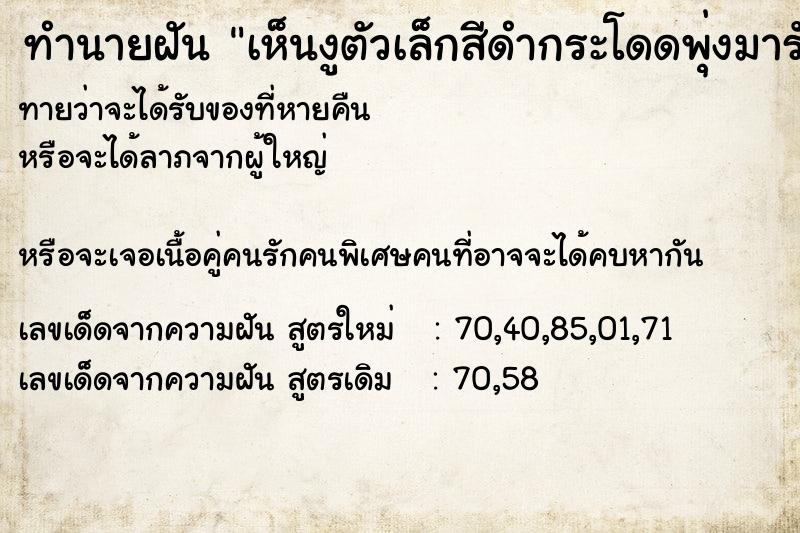 ทำนายฝัน เห็นงูตัวเล็กสีดำกระโดดพุ่งมารัดคอ