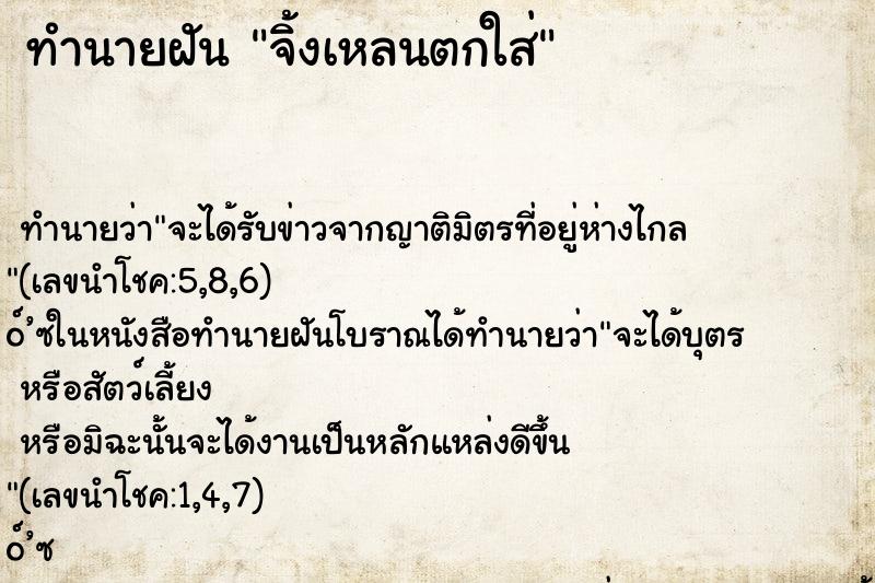 ทำนายฝัน จิ้งเหลนตกใส่