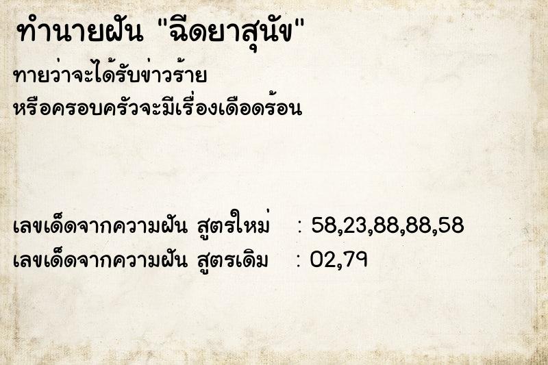 ทำนายฝันฉีดยาสุนัข ทำนายฝันทำนายฝันฉีดยาสุนัข