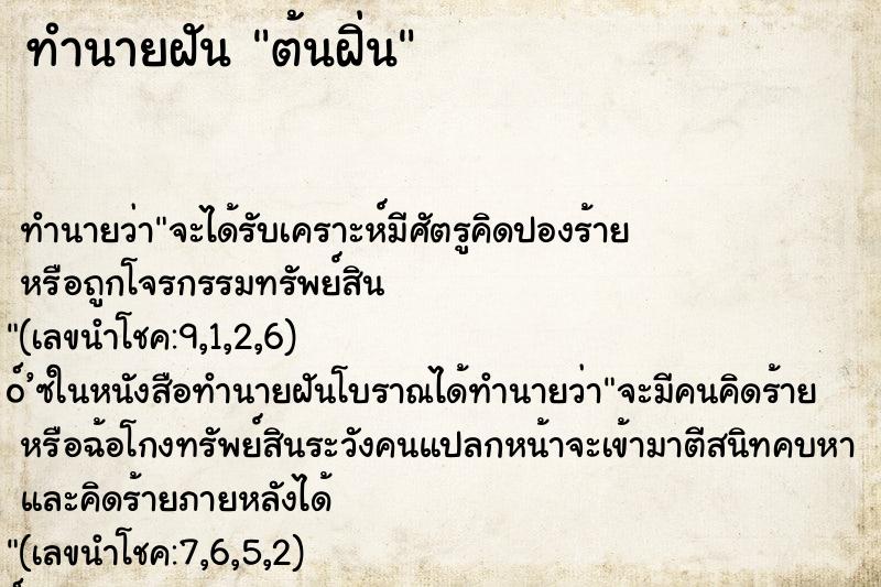 ทำนายฝันต้นฝิ่น ทำนายฝันทำนายฝันต้นฝิ่น