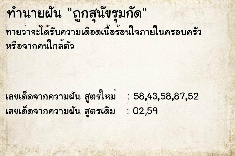 ทำนายฝัน ถูกสุนัขรุมกัด ทำนายฝัน ถูกสุนัขรุมกัด