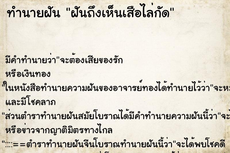 ทำนายฝันฝันถึงเห็นเสือไล่กัด ทำนายฝันทำนายฝันฝันถึงเห็นเสือไล่กัด
