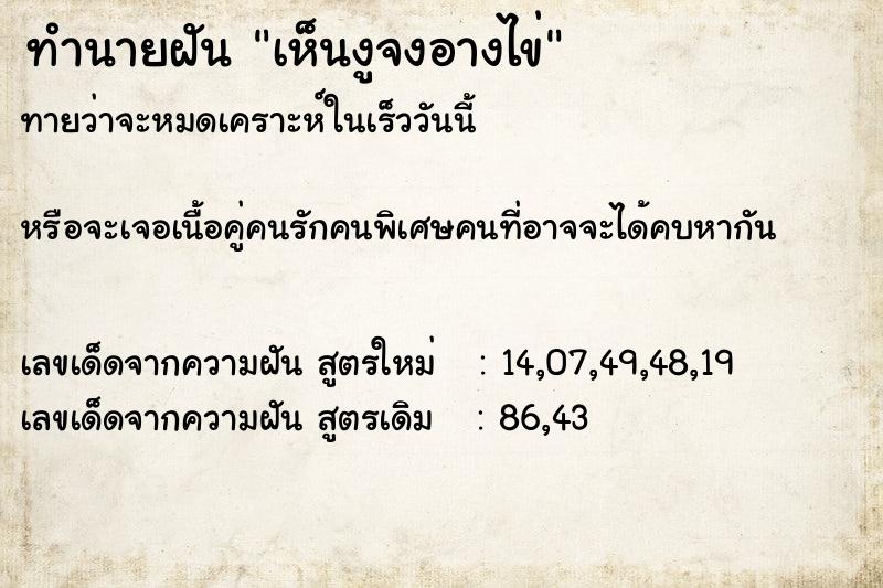 ทำนายฝันเห็นงูจงอางไข่ ทำนายฝันทำนายฝันเห็นงูจงอางไข่