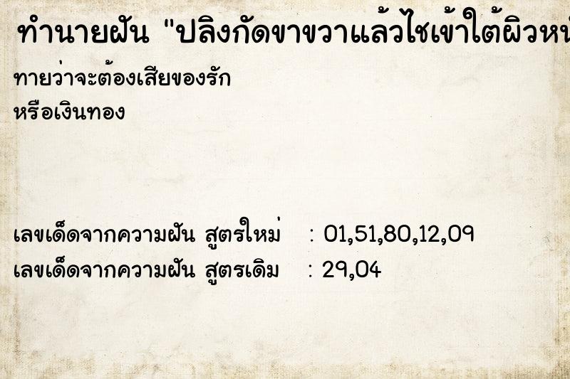 ทำนายฝันปลิงกัดขาขวาแล้วไชเข้าใต้ผิวหนัง ทำนายฝันทำนายฝันปลิงกัดขาขวาแล้วไชเข้าใต้ผิวหนัง