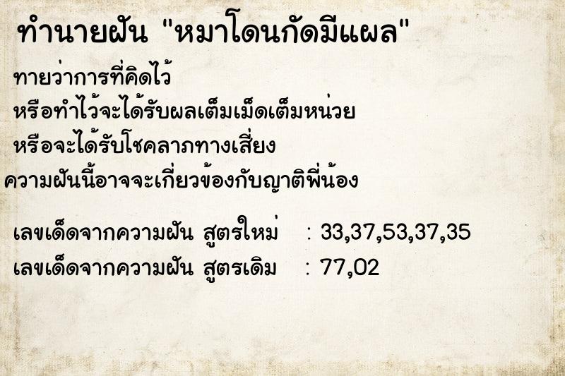 ทำนายฝันทำนายฝันหมาโดนกัดมีแผล