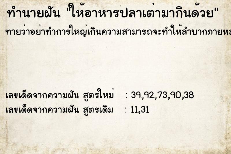 ทำนายฝันทำนายฝันให้อาหารปลาเต่ามากินด้วย