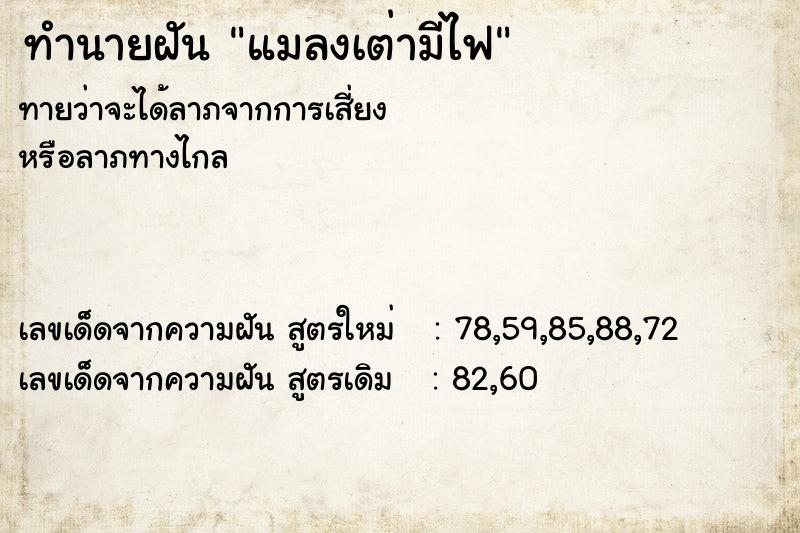 ทำนายฝันแมลงเต่ามีไฟ ทำนายฝันทำนายฝันแมลงเต่ามีไฟ
