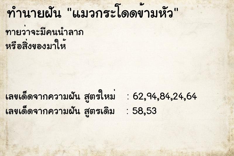 ทำนายฝันทำนายฝันแมวกระโดดข้ามหัว