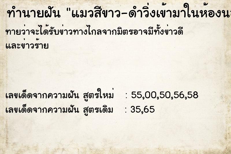 ทำนายฝันแมวสีขาว-ดำวิ่งเข้ามาในห้องนอน ทำนายฝันทำนายฝันแมวสีขาว-ดำวิ่งเข้ามาในห้องนอน