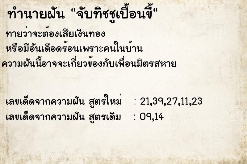 ทำนายฝันจับทิชชูเปื้อนขี้ ทำนายฝันทำนายฝันจับทิชชูเปื้อนขี้