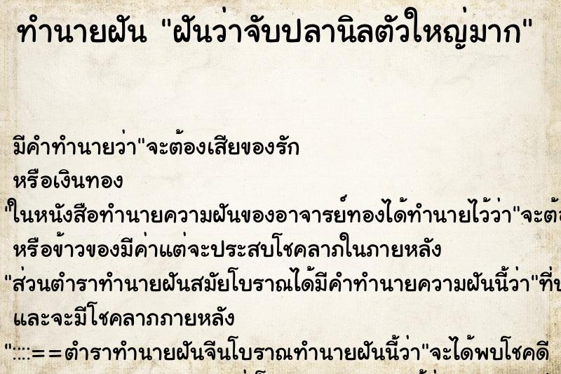 ทำนายฝันฝันว่าจับปลานิลตัวใหญ่มาก ทำนายฝันทำนายฝันฝันว่าจับปลานิลตัวใหญ่มาก