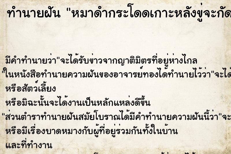 ทำนายฝันหมาดำกระโดดเกาะหลังขู่จะกัดแต่ไม่ได้กัด ทำนายฝันทำนายฝันหมาดำกระโดดเกาะหลังขู่จะกัดแต่ไม่ได้กัด