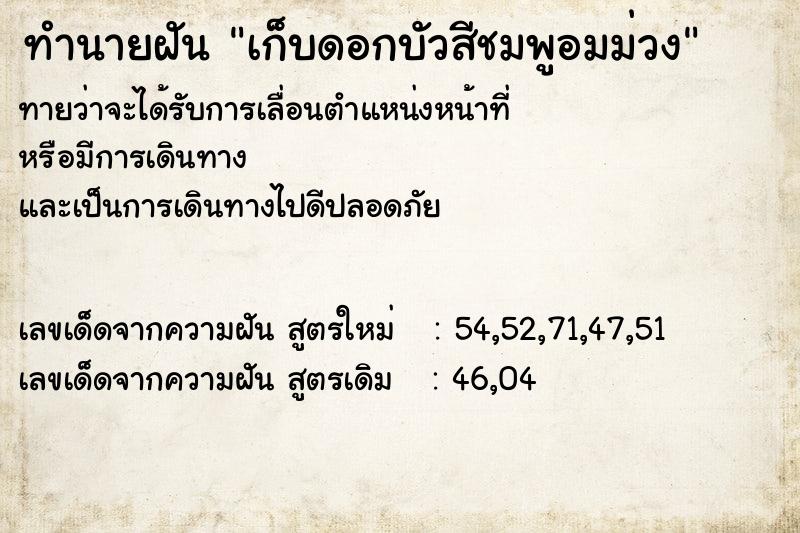 ทำนายฝันเก็บดอกบัวสีชมพูอมม่วง ทำนายฝันทำนายฝันเก็บดอกบัวสีชมพูอมม่วง