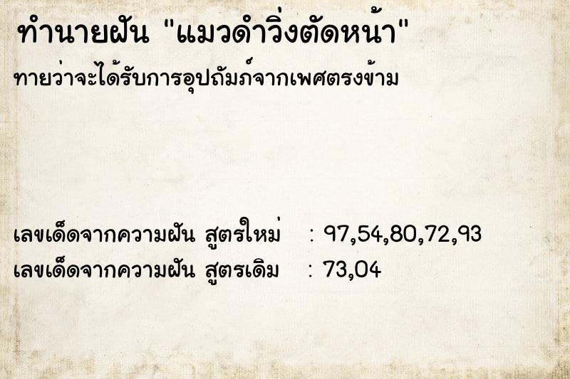 ทำนายฝันแมวดำวิ่งตัดหน้า ทำนายฝันทำนายฝันแมวดำวิ่งตัดหน้า