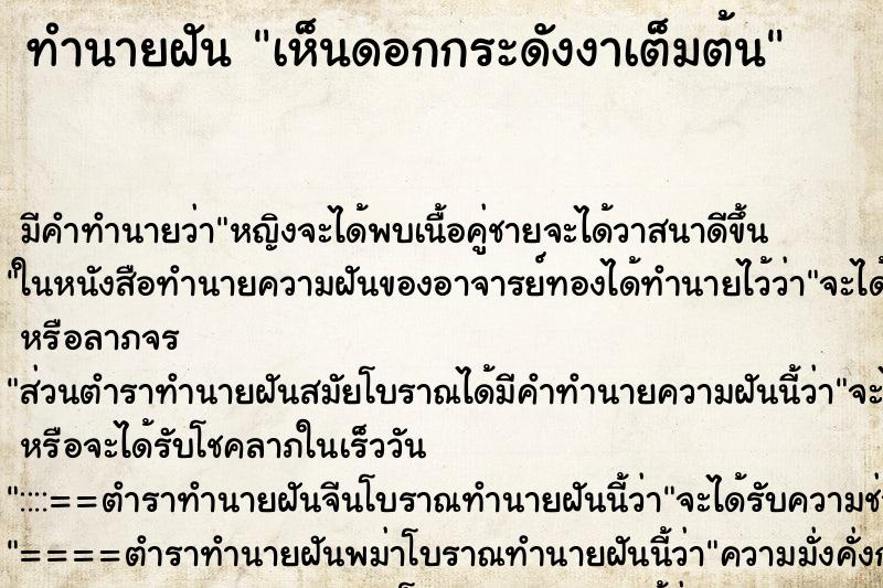 ทำนายฝัน เห็นดอกกระดังงาเต็มต้น ทำนายฝัน เห็นดอกกระดังงาเต็มต้น