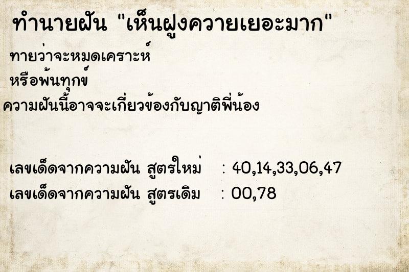 ทำนายฝันเห็นฝูงควายเยอะมาก ทำนายฝันทำนายฝันเห็นฝูงควายเยอะมาก